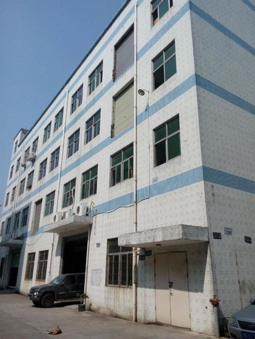 廣州市廠房結(jié)構安全檢測公司哪家正規(guī)？工程設計需重視專業(yè)檢測