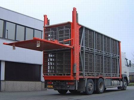 垂直(zhí)升降汽車尾(wei)闆