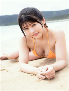 日本鬼子的飞机